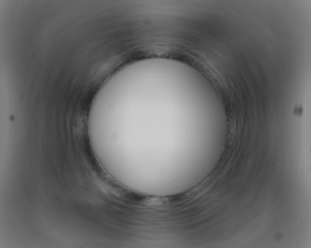 X0000093250126200709261605
