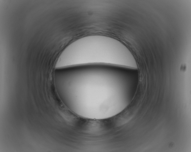 X0000093250127200709261605