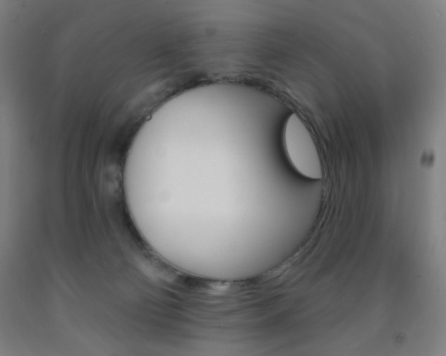 X0000093250130200709261605