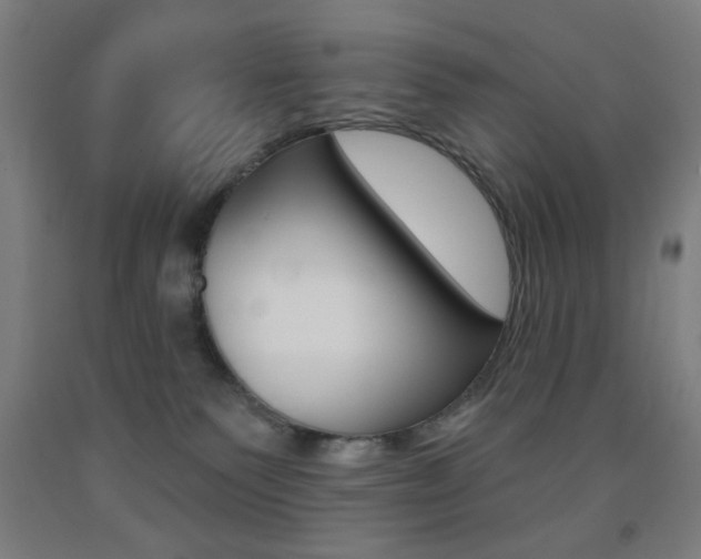 X0000093250135200709261605