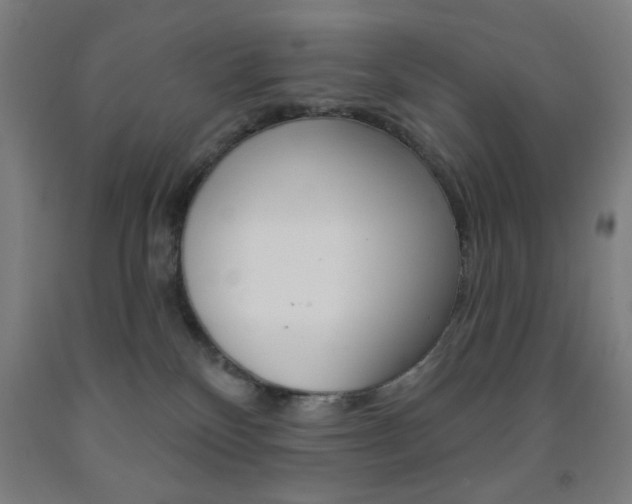 X0000093250136200709261605