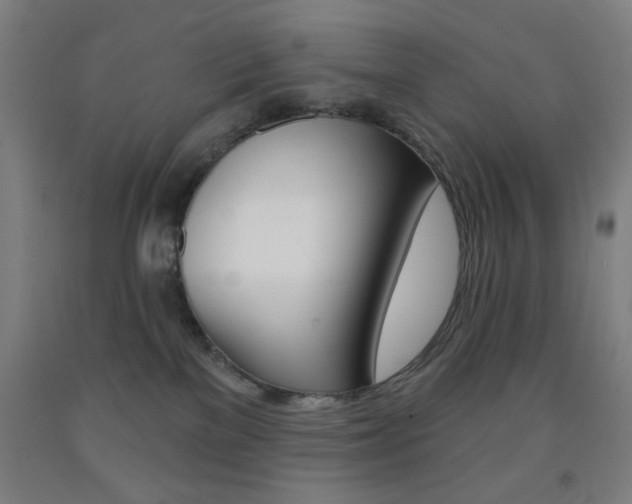 X0000093250137200709261605