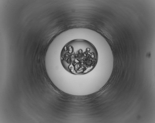 X0000093250141200709261605