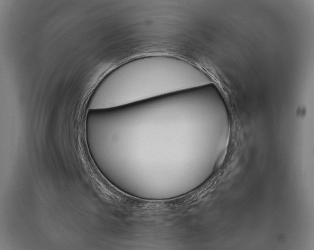 X0000093250145200709261604
