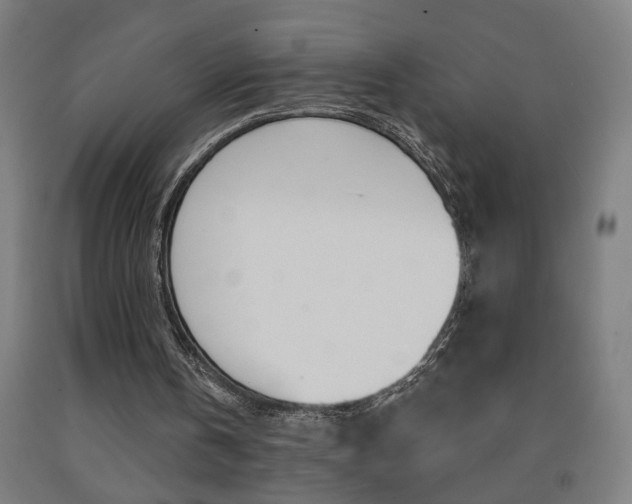 X0000093250146200709261604