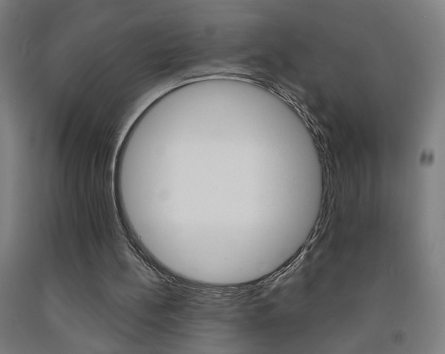 X0000093250148200709261604