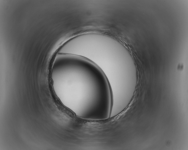 X0000093250150200709261604