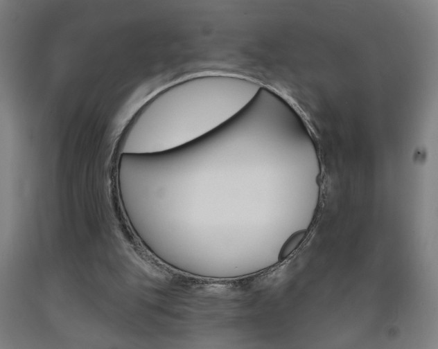 X0000093250151200709261604