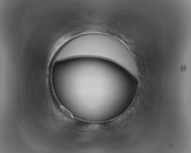 X0000093250152200709261604