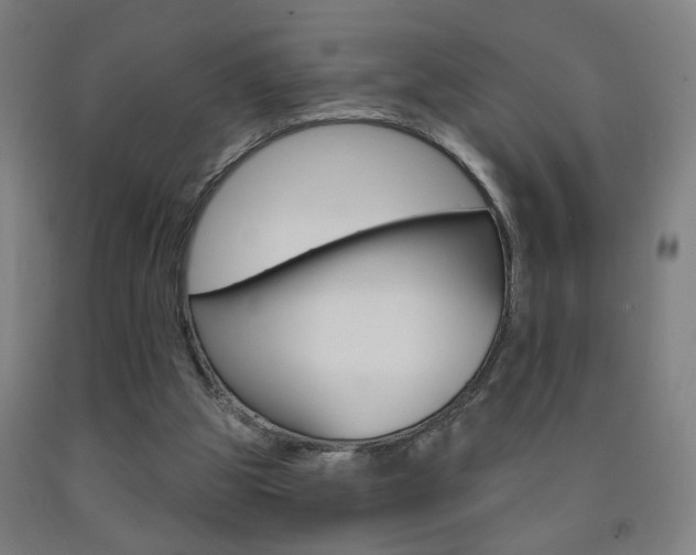 X0000093250153200709261604