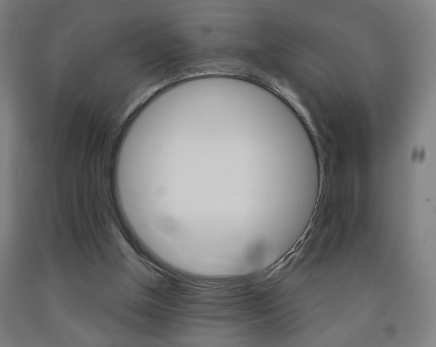 X0000093250154200709261604
