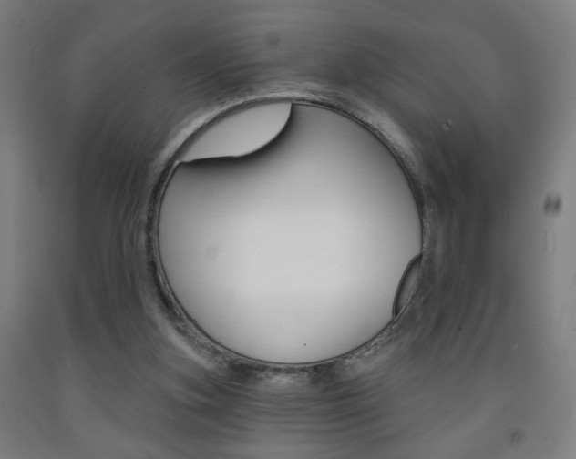 X0000093250155200709261604