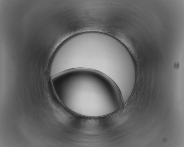 X0000093250156200709261604