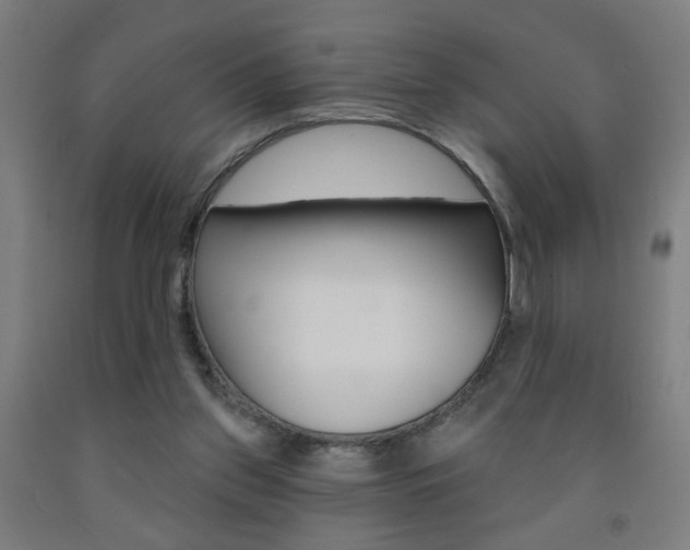 X0000093250157200709261604
