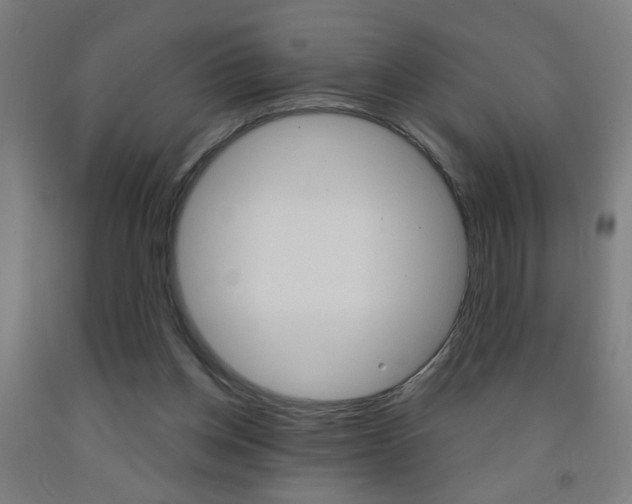 X0000093250158200709261604