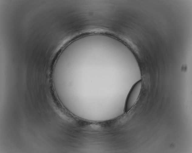 X0000093250159200709261604