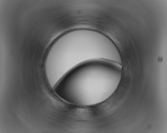 X0000093250160200709261604