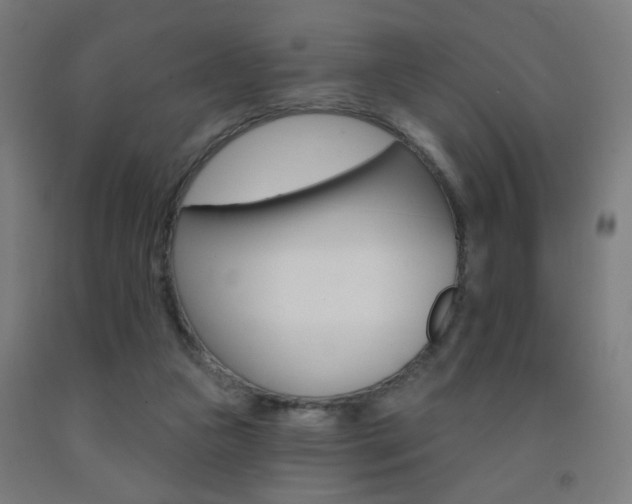 X0000093250161200709261604