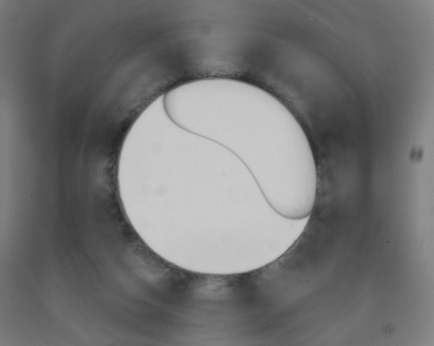 X0000093250162200709261604
