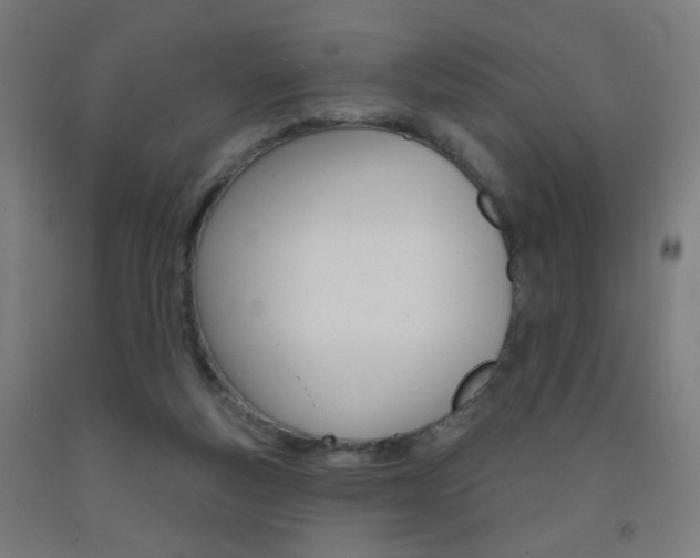X0000093250163200709261604