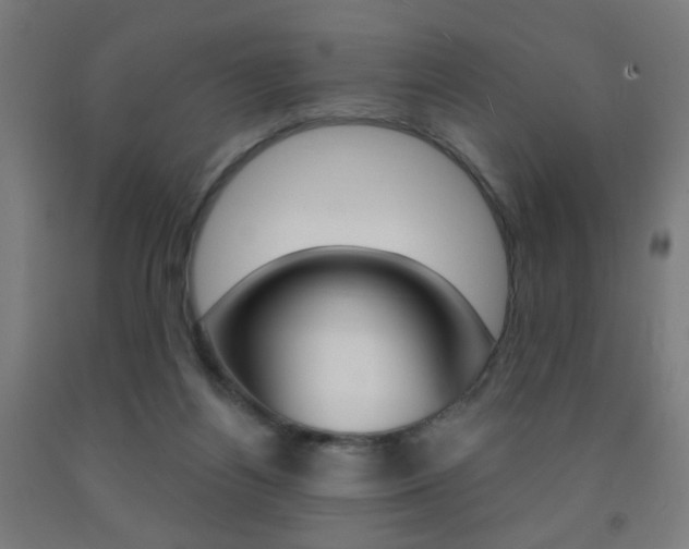 X0000093250164200709261604