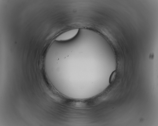 X0000093250165200709261604