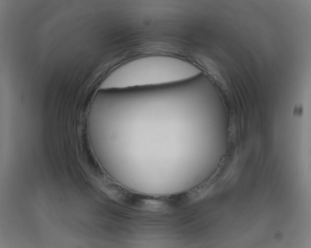 X0000093250167200709261604