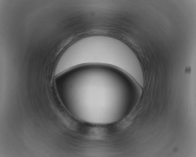 X0000093250168200709261604