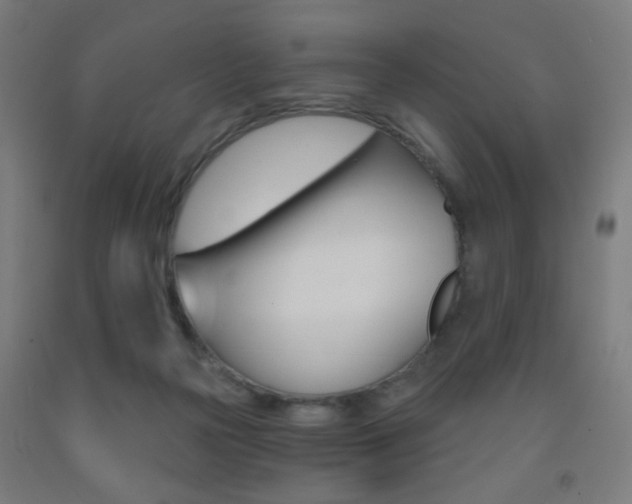 X0000093250169200709261604