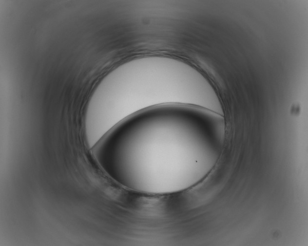 X0000093250170200709261604