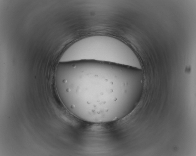 X0000093250171200709261604