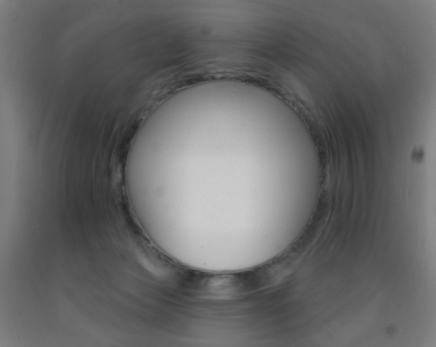 X0000093250173200709261604