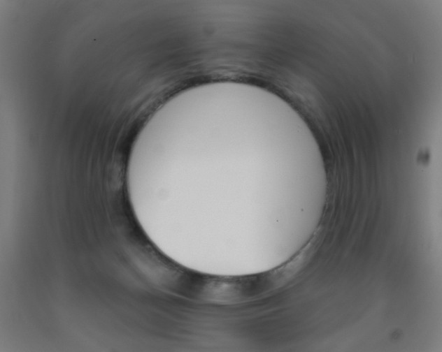 X0000093250174200709261604