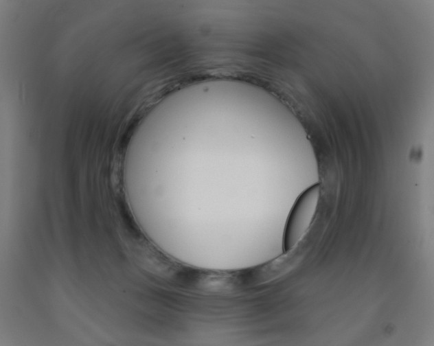 X0000093250175200709261604