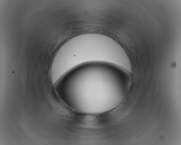 X0000093250176200709261604