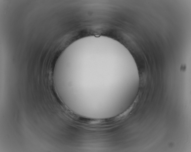X0000093250178200709261604