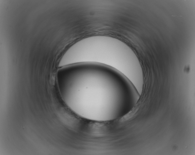 X0000093250180200709261604