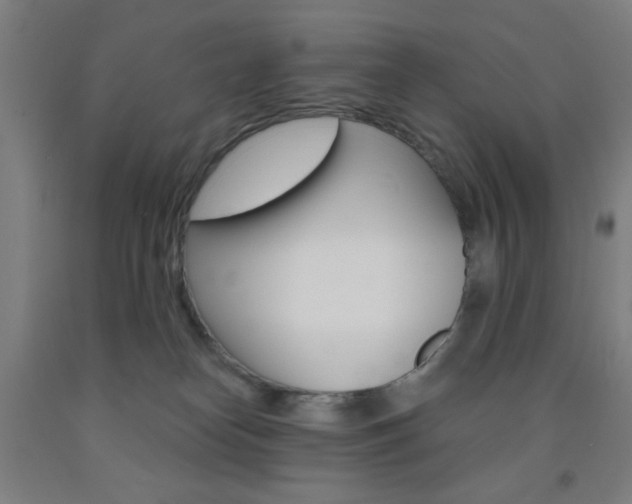 X0000093250182200709261604
