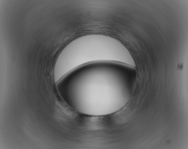 X0000093250184200709261604
