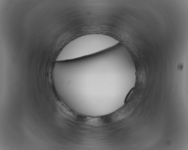 X0000093250185200709261604