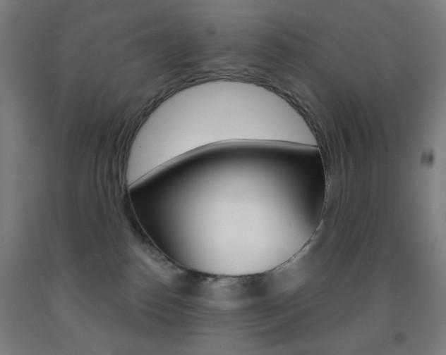 X0000093250186200709261604
