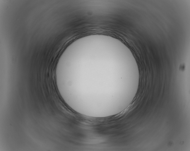 X0000093250188200709261605