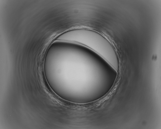 X0000093250193200709261604