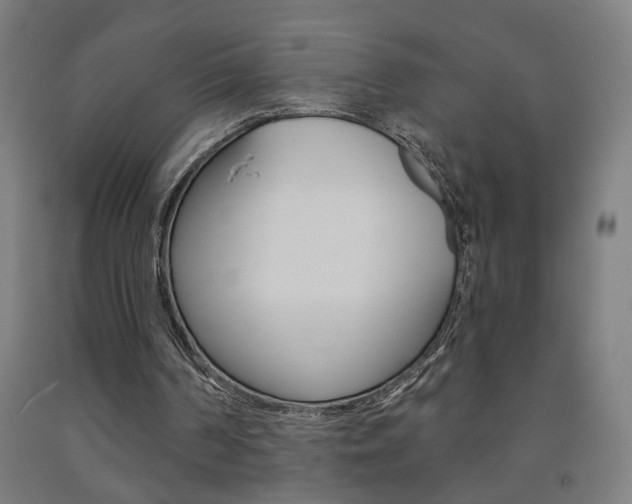 X0000093250194200709261604