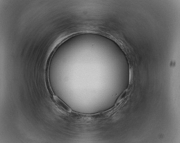 X0000093250195200709261604