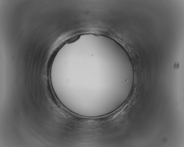 X0000093250198200709261604