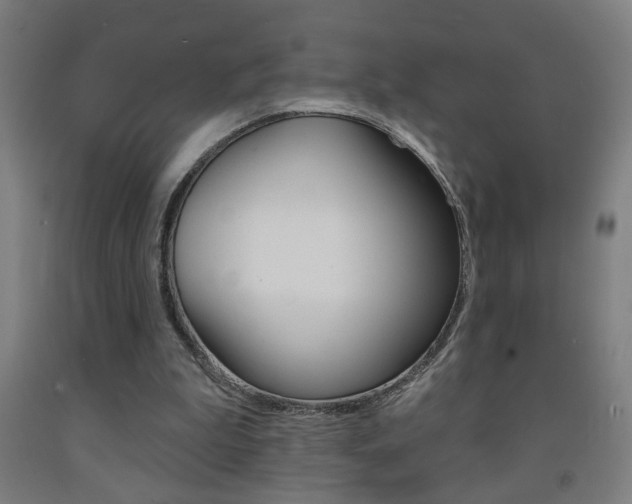 X0000093250199200709261604