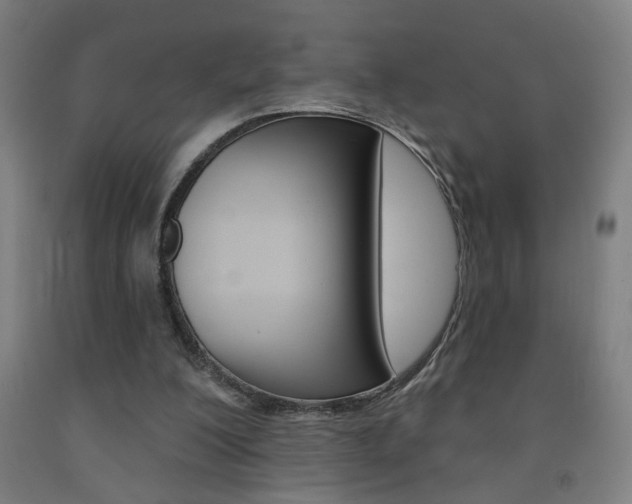 X0000093250200200709261604