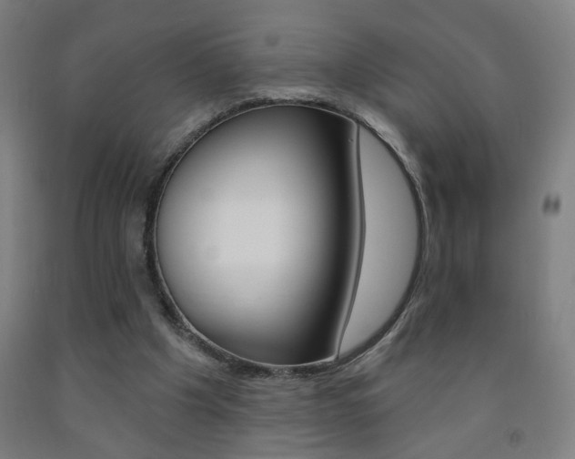 X0000093250201200709261604