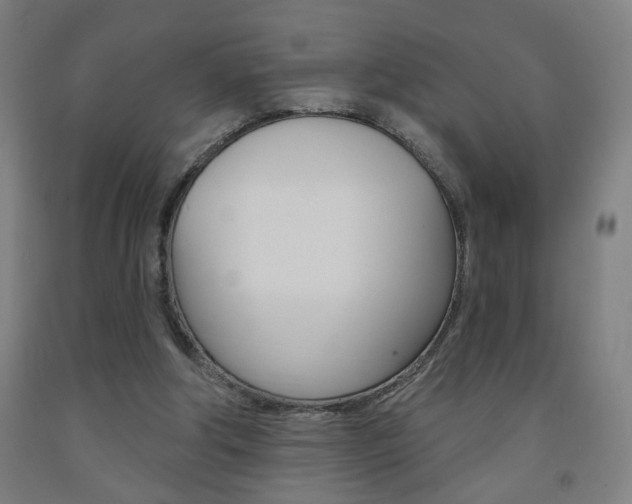 X0000093250202200709261604
